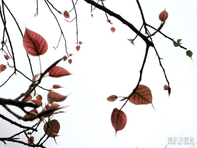 【最美瞬間】+美好定格