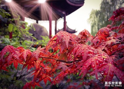 到附近公園轉(zhuǎn)轉(zhuǎn)?。。?！