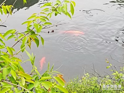 【最美瞬間】+春水流