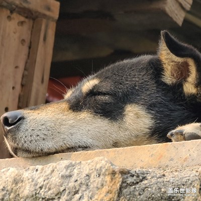 來(lái)自，三星S20U的拍攝