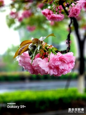 四月隨手拍（一）