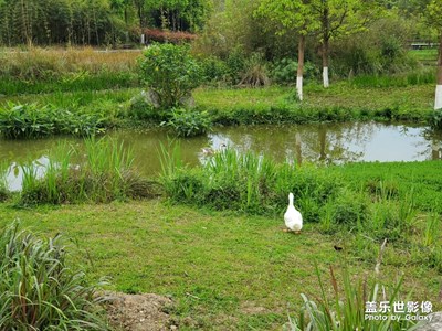 【最美瞬間】+踏春