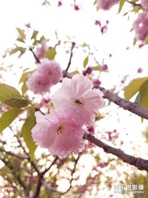 【最美瞬間】+浮世清歡