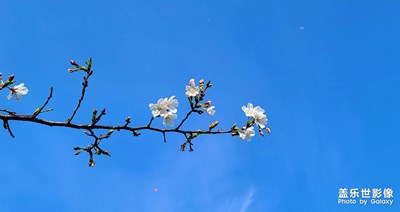 s20u日常拍攝---四月變成了一座橋，急著讓夏天來到