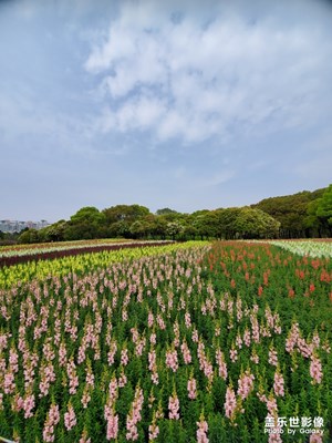 【最美瞬間】+踏青美景