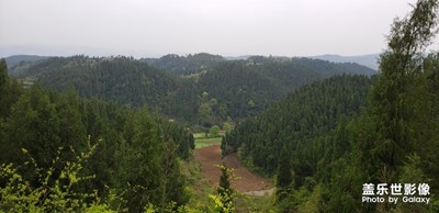 清明節(jié)踏青