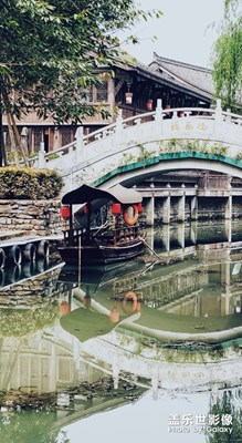 春天最后兩樹海棠花