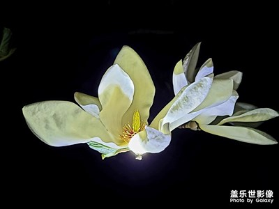 Galaxy S20+自動(dòng)模式隨手拍