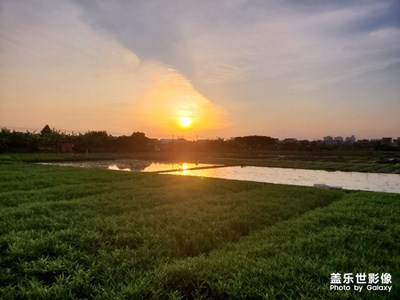 陽光正好，