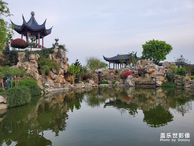 我也來隨便拍一下身邊的美景