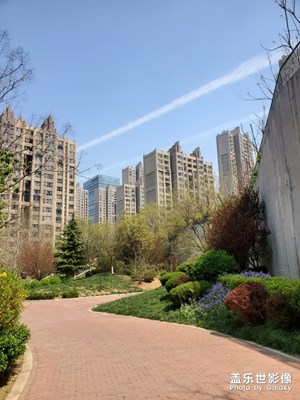 陽光明媚的一天