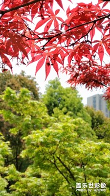 追隨春天的腳步，激發(fā)內(nèi)心的能量。