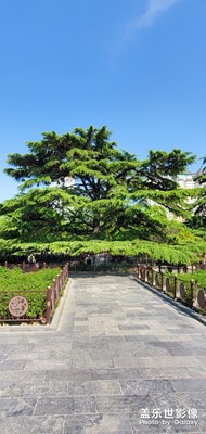 西安興慶公園