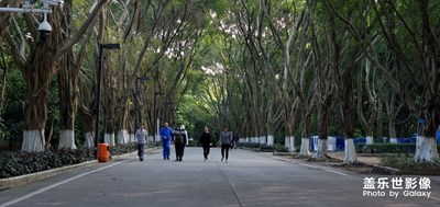 東莞旗峰山健走