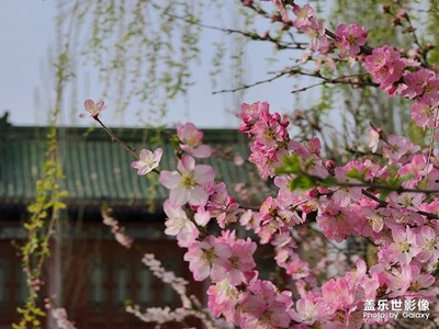 Galaxy S20 Ultra之春暖花開的時節(jié)