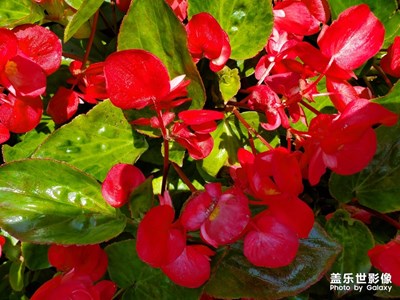 周末，南沙走走