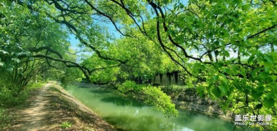 光影色彩 遇見一抹新綠