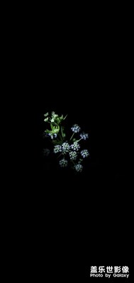 從索尼大佬那學(xué)來的