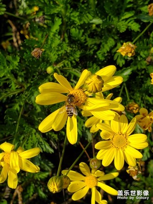 【希望】+勞動(dòng)就是希望的開始