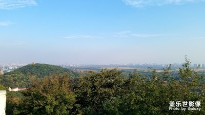 【春日麗影】
