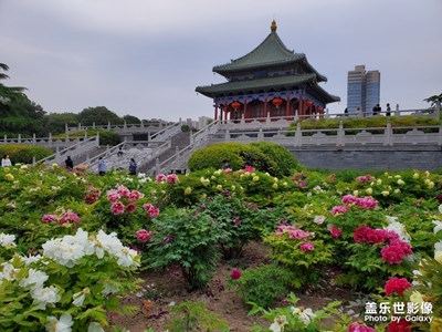 【春日麗影】+春日賞花
