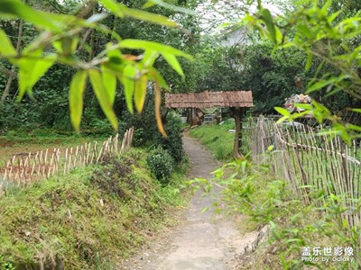 【春日麗影】+歸田園居的意境