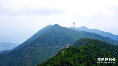 賞美景，悅心身