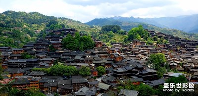 【春日麗影】+浮生若夢，為歡幾何