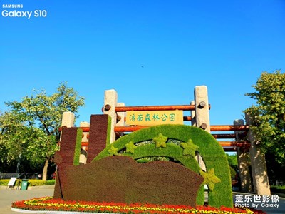 【春日麗影】+濟(jì)南森林公園