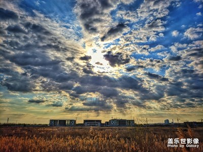 [春日麗影]+春光乍泄