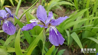 NITE10+ 測試f1.5和f2.4 兩種光圈