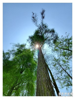 使用Samsung Galaxy S10拍攝