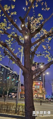 夜景-平凡的生活，也充滿色彩