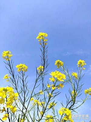 我也來分享一下用的拍照作品