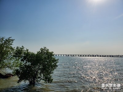 【享受生活】+ 西灣紅樹林