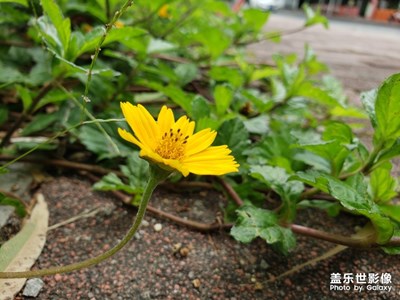 隨拍-----隨手隨性隨心