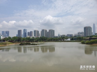 深圳福田紅樹(shù)林公園