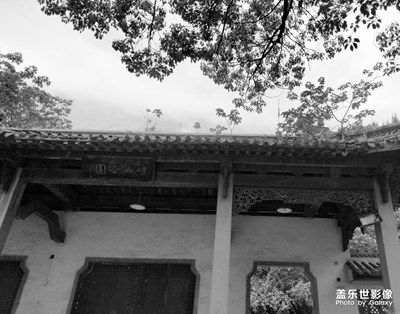 五一放假，出來溜達溜達！