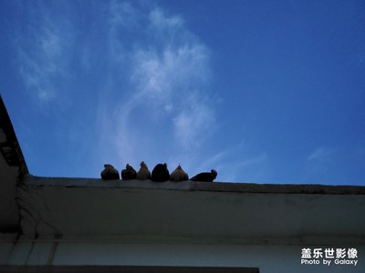 精彩翻倍＋另一個世界的愜意