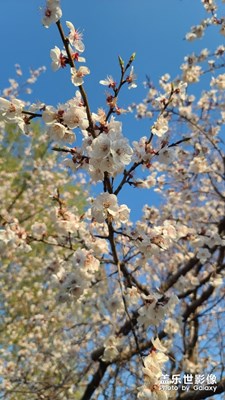 2020-5-6手持s20u拍攝