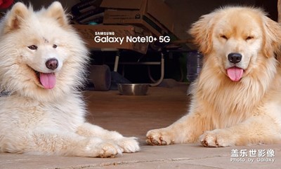 【精彩翻倍】+ 狗子