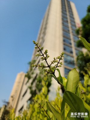 【精彩翻拍】隨意拍了幾張，五一沒出去，