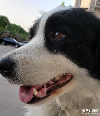 【印象五月】五月關中