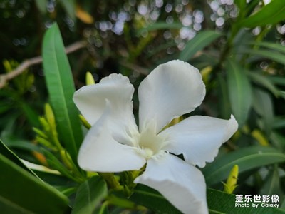 有蟲(chóng)慎入