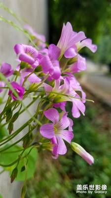 #紅的溫度#+你喜歡的紅