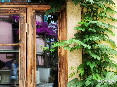 【精彩翻倍】+S20 ultra短焦長焦總相宜