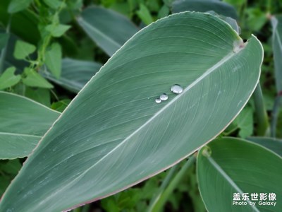 #紅的溫度#+綠色的希望