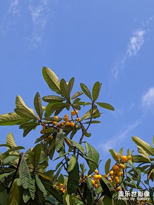 【印象五月】+五月你好