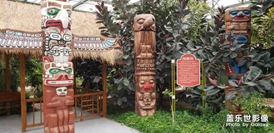 【印象五月】+旅游隨拍