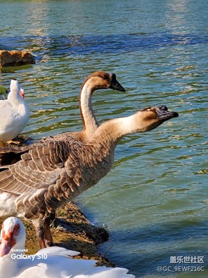 【精彩翻倍】來自三星Galaxy 超視覺拍攝系統(tǒng)